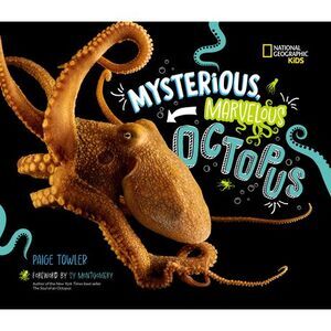 Mysterious, Marvelous Octopus! -- Paige Towler